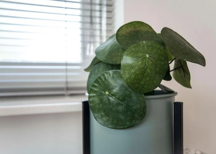 4 U With Private Parking * ザントフォールト