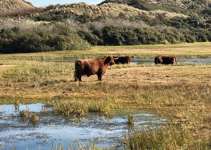 4 U With Private Parking アパート ザントフォールト