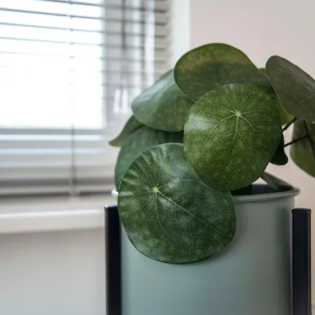 4 U With Private Parking * Zandvoort