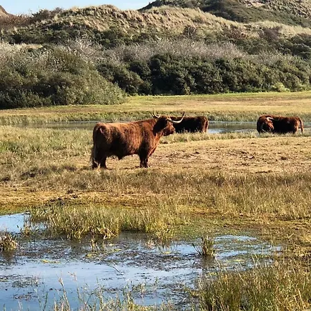 4 U With Private Parking Apartmán Zandvoort